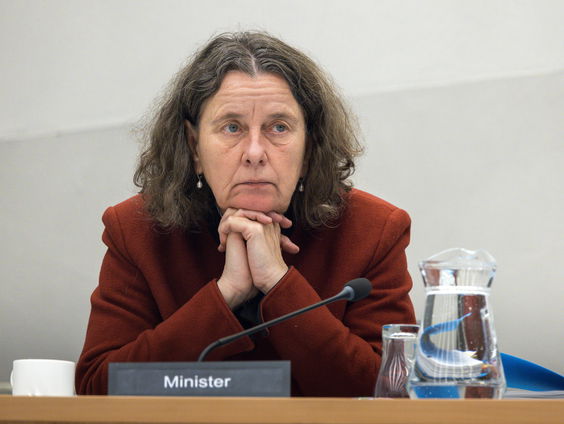 Het Haagse politieke jaar