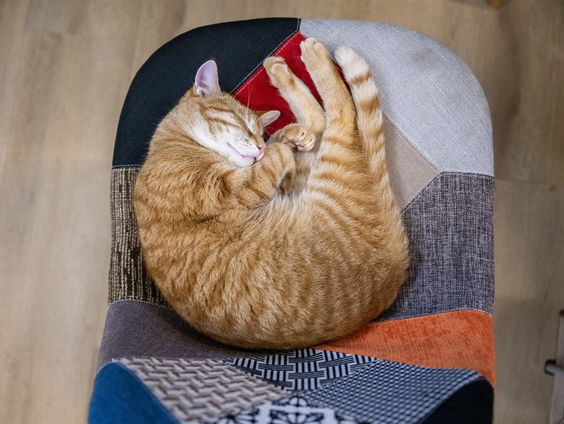 Wat zegt je slaaphouding over je lichamelijke klachten?