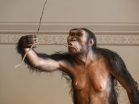 Heeft de mens een vergeten voorouder?