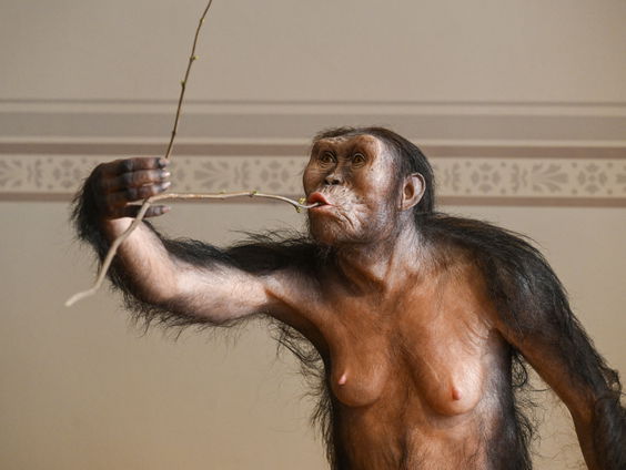 Heeft de mens een vergeten voorouder?