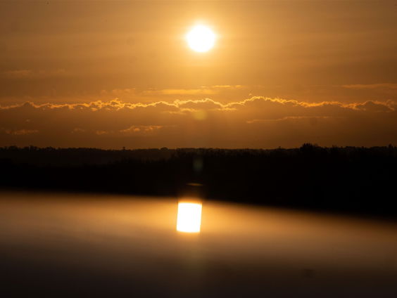 Huisvriend Brankele Frank over effect tijdstip op mentale gezondheid