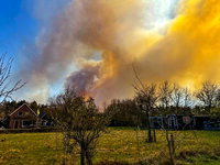 Europees klimaatrapport: heet en droog 2025 leidde tot grote natuurbranden