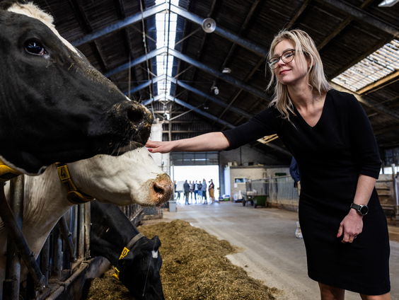 Milieuorganisaties komen elke week met nieuwe juridische procedures om stikstof