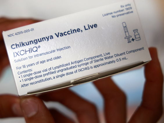 Steeds meer virusuitbraken in Europa door mug