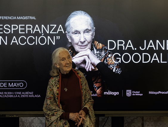 Afscheid van biologe Jane Goodall (1934-2025)