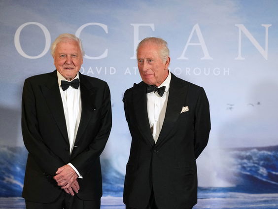 Een traktatie van David Attenborough in de vorm van een documentaire