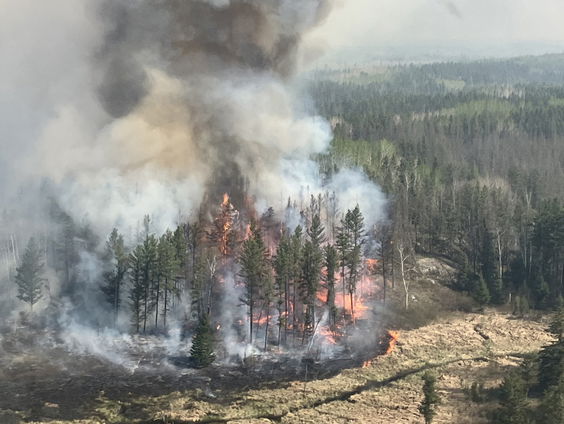Stand.nl: 'We moeten weer last krijgen van klimaatstress'