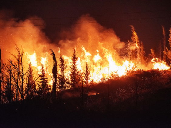 De Jaargetijden: Natuurbrand