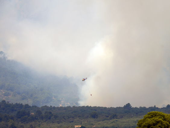 Wat kunnen we leren van de natuurbranden in Spanje?