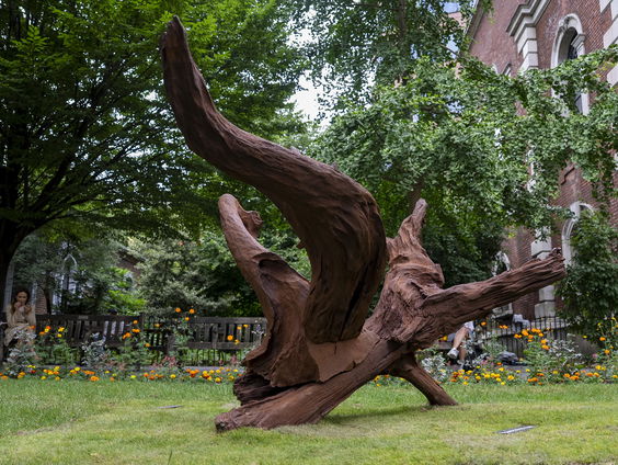 De verborgen verhalen achter kunst in het wild