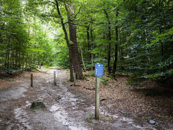 Bosbrandwerkgroep Austerlitz houdt dorp veilig
