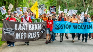 Waarom zijn de vergunningen voor het afschieten van de wolf 'onuitvoerbaar'?