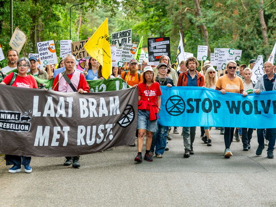 Waarom zijn de vergunningen voor het afschieten van de wolf 'onuitvoerbaar'?