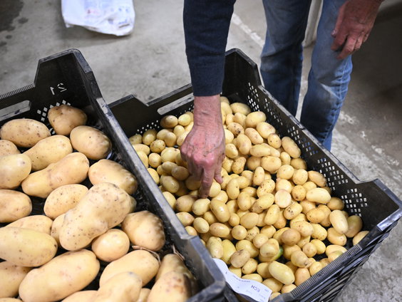 Duizend kilo onverkoopbare aardappels en wortels uitgedeeld in Amsterdam-Noord: 'de verwarming kon weer een dag aan'