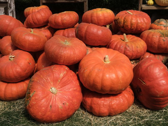 Waarom je pompoenschillen niet op moet eten