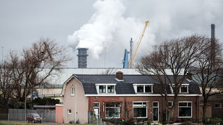 Hoe richt je een gezonde leefomgeving in?