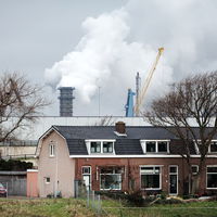 Hoe richt je een gezonde leefomgeving in?