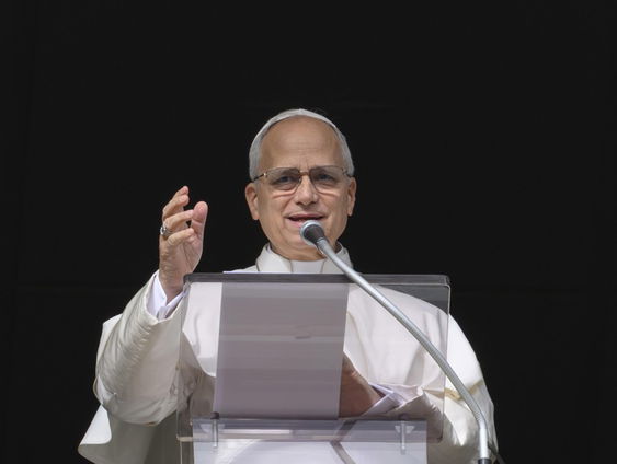 Paus Leo roept buitengewoon consistorie bijeen