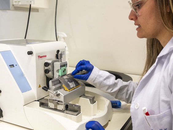 Waarom wordt er in de medische wetenschap nog altijd te weinig onderzoek gedaan naar vrouwspecifieke ziekten?