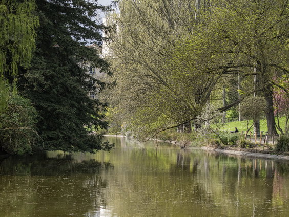 De letterzetter slaat toe in het Drents-Friese Wold