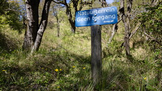 Draagt het predicaat 'nationaal park' bij aan de natuur?