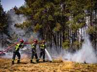 Stoppen met militaire oefeningen in natuurgebieden?