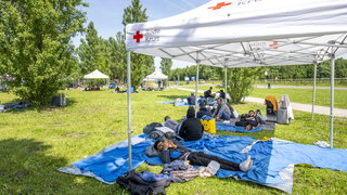 Rode Kruis slaat alarm over situatie Ter Apel: vrouwen en kinderen straks o ...