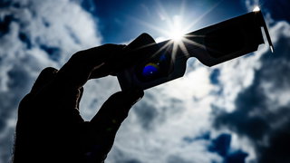 Hoe reageren vogels op de zonsverduistering?
