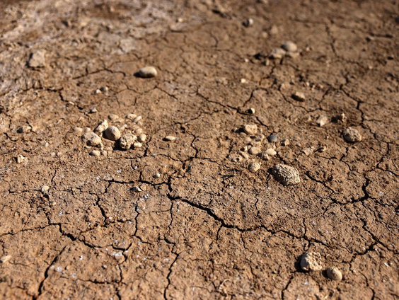 Stevent Nederland af op het droogste jaar ooit?