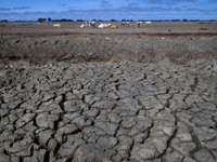 Om de economie te redden moeten we investeren in klimaat?