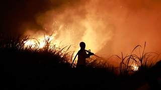 Wat is de lange termijn impact van 'super' El Niño?