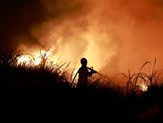 Wat is de lange termijn impact van 'super' El Niño?