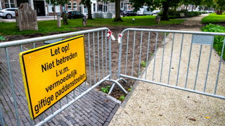 De paddenstoel die mensen- en hondenlevens eist