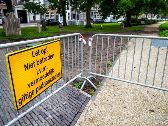 De paddenstoel die mensen- en hondenlevens eist