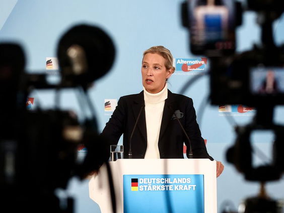 Waarom ligt de AfD onder vuur?