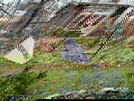 De Fruittuin van Moerkerken: een groene oase verscholen in Amsterdam