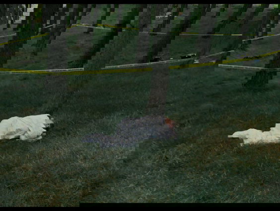 Filmtip - Apple Cider Vinegar