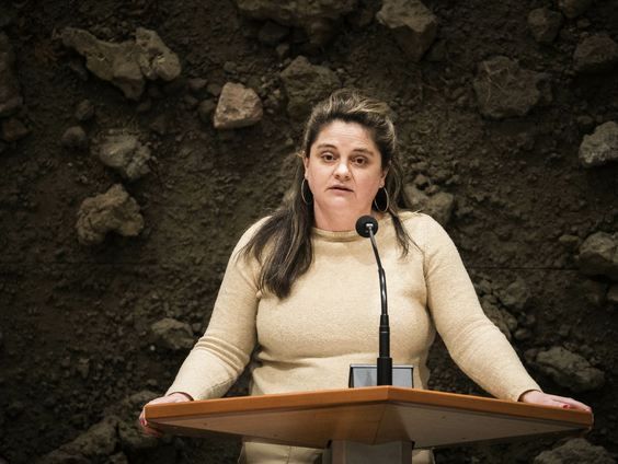 GL-PvdA-Kamerlid over tech-reuzen: "We worden elke dag allemaal genaaid"