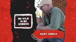 Bart Knols over de tijgermug: "De mug is het meest gevaarlijke dier op aarde"