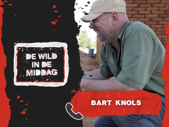 Bart Knols over de tijgermug: "De mug is het meest gevaarlijke dier op aarde"
