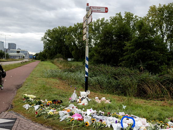 Welke maatregelen namen gemeenten na de dood van Lisa?