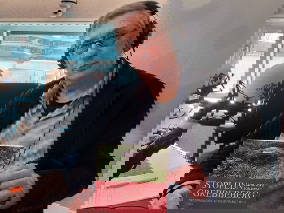 De slag om Grebbeberg