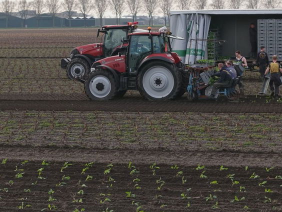 Minister Wiersma praat met Overijsselse boeren over oplossing voor stikstofcrisis