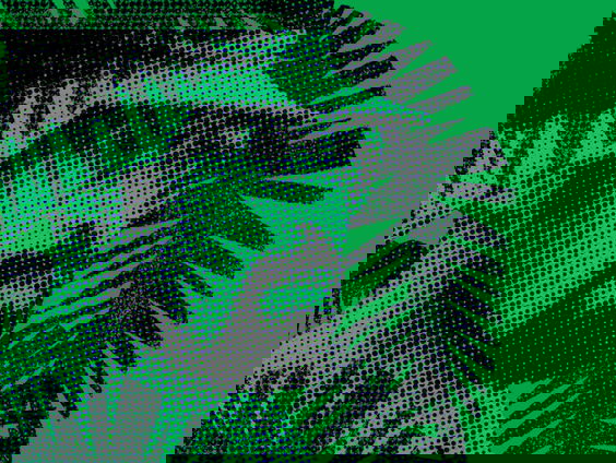 Hoe kon Desi Bouterse zijn straf ontlopen?