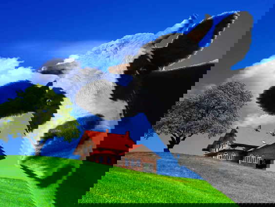 Ook met 600 miljoen euro erbij blijft de boerentoekomst onzeker