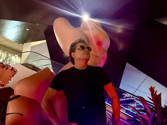 Sculptuur Nederlandse kunstenaar Bram Reijnders geplaatst in Miami: 'Relativeer je eigen mening'