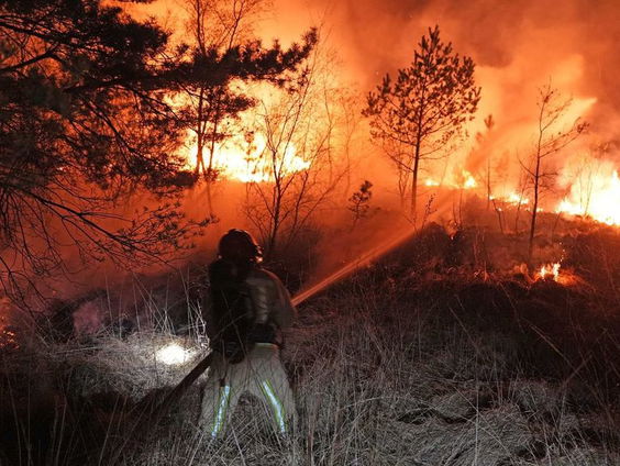 Grote natuurbrand op de grens van Brabant en Limburg geblust