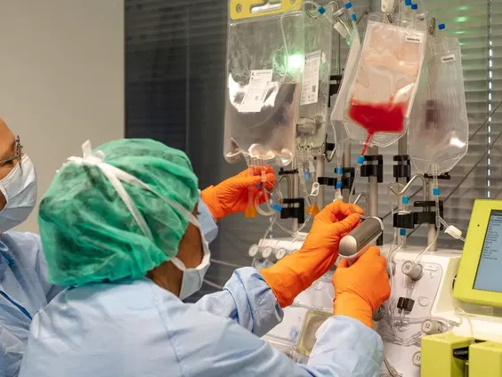 16,5 miljoen subsidie voor onderzoek CAR T-cellen bij beenmergkanker