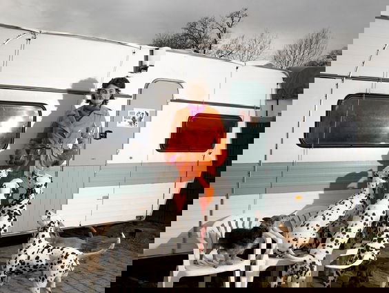 De grootste hondenshow ter wereld