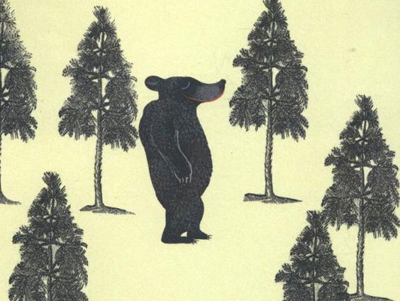 Boek van de week: De beer die er niet was